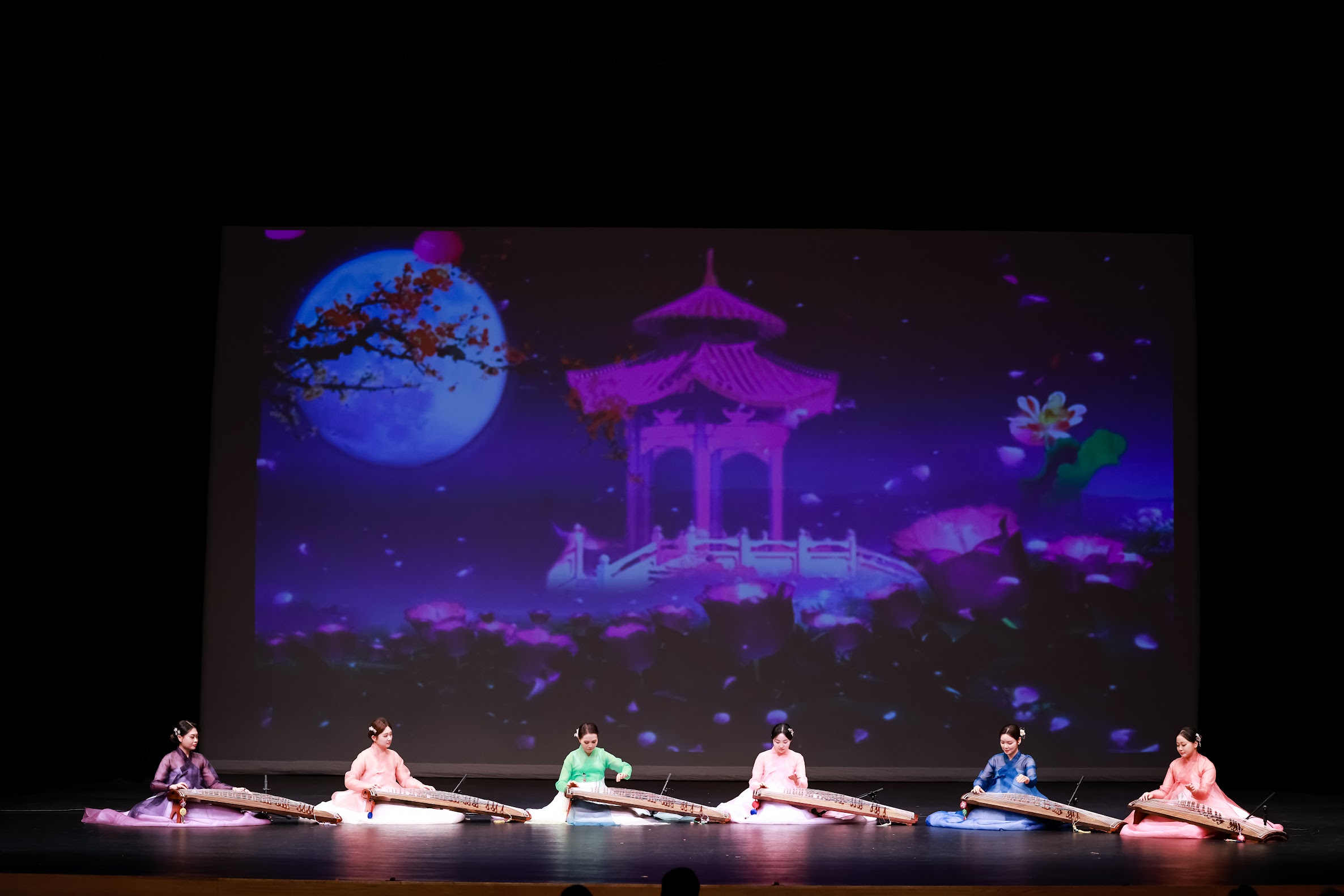 Gayageum Performance